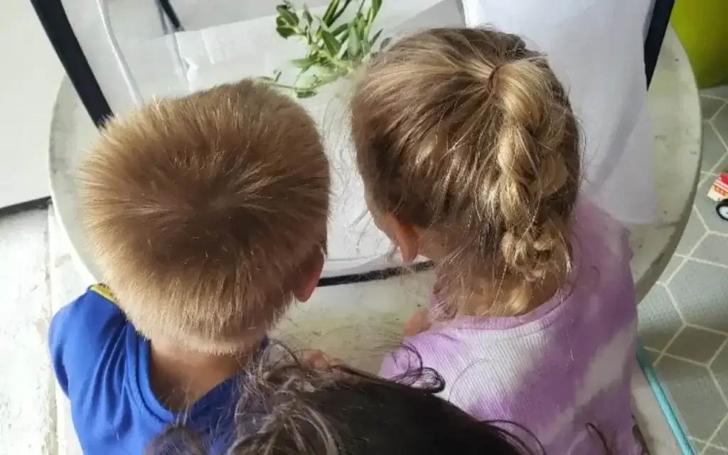 Children practicing numbers and letters with colorful learning materials